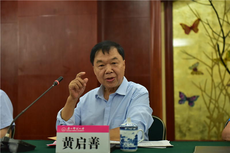 廣西壯族自治區博物館原館長(cháng)、研究館員黃啟善發(fā)言（郭倩 攝）.JPG