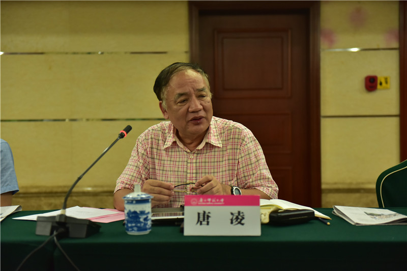 廣西歷史學(xué)會(huì )會(huì )長(cháng)、廣西師范大學(xué)歷史文化與旅游學(xué)院教授唐凌發(fā)言（郭倩 攝）.JPG